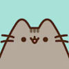 chris_cacciola